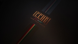 vocuis bacco branding–2292px 01 2014 uai