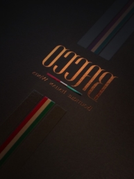 vocuis bacco branding–2292px 01 2014s uai